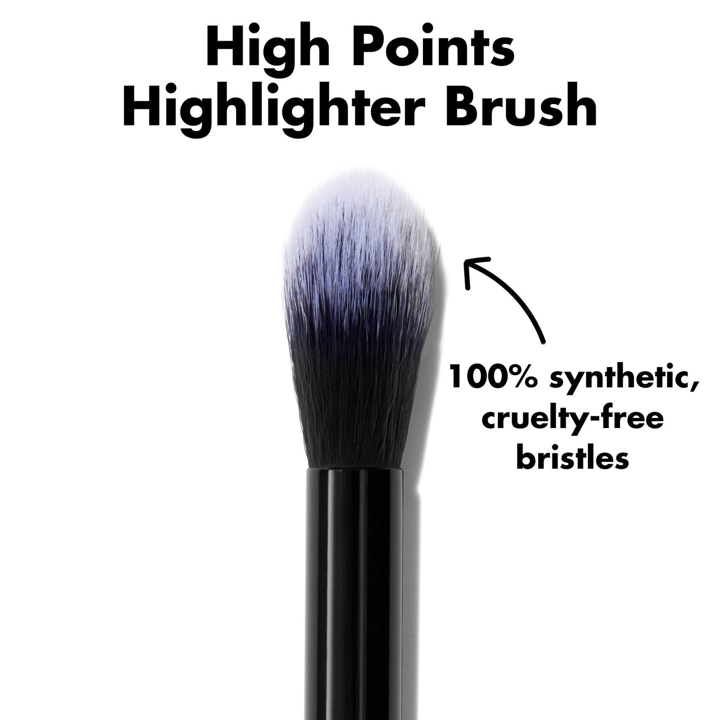 high-points-highlighter-brush-r9 0226_EDU_HighpointsHighlighterBrush_ProductDetail.jpg