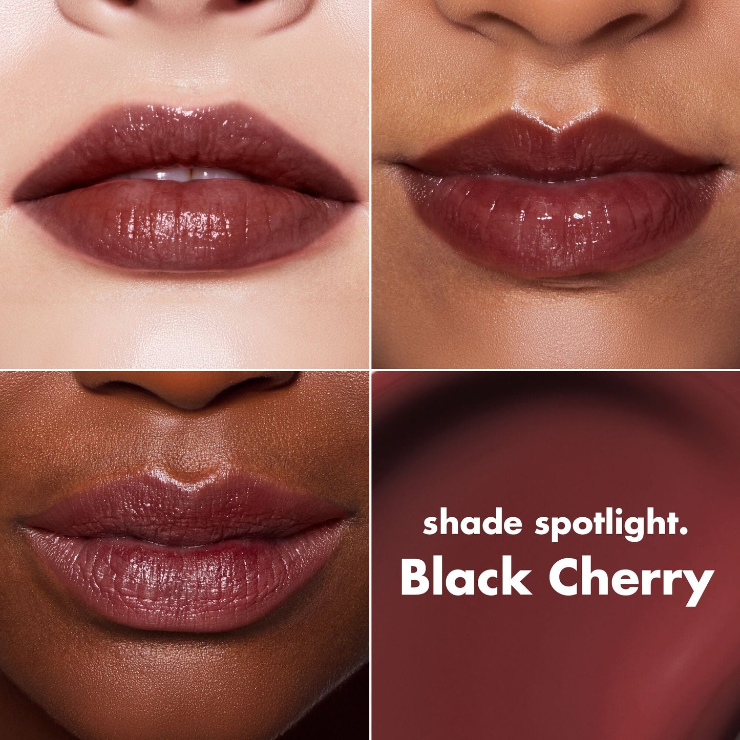 lip-lacquer-u9 0426_EDU_LipLaquer_ShadeChart_BlackCherry.jpg