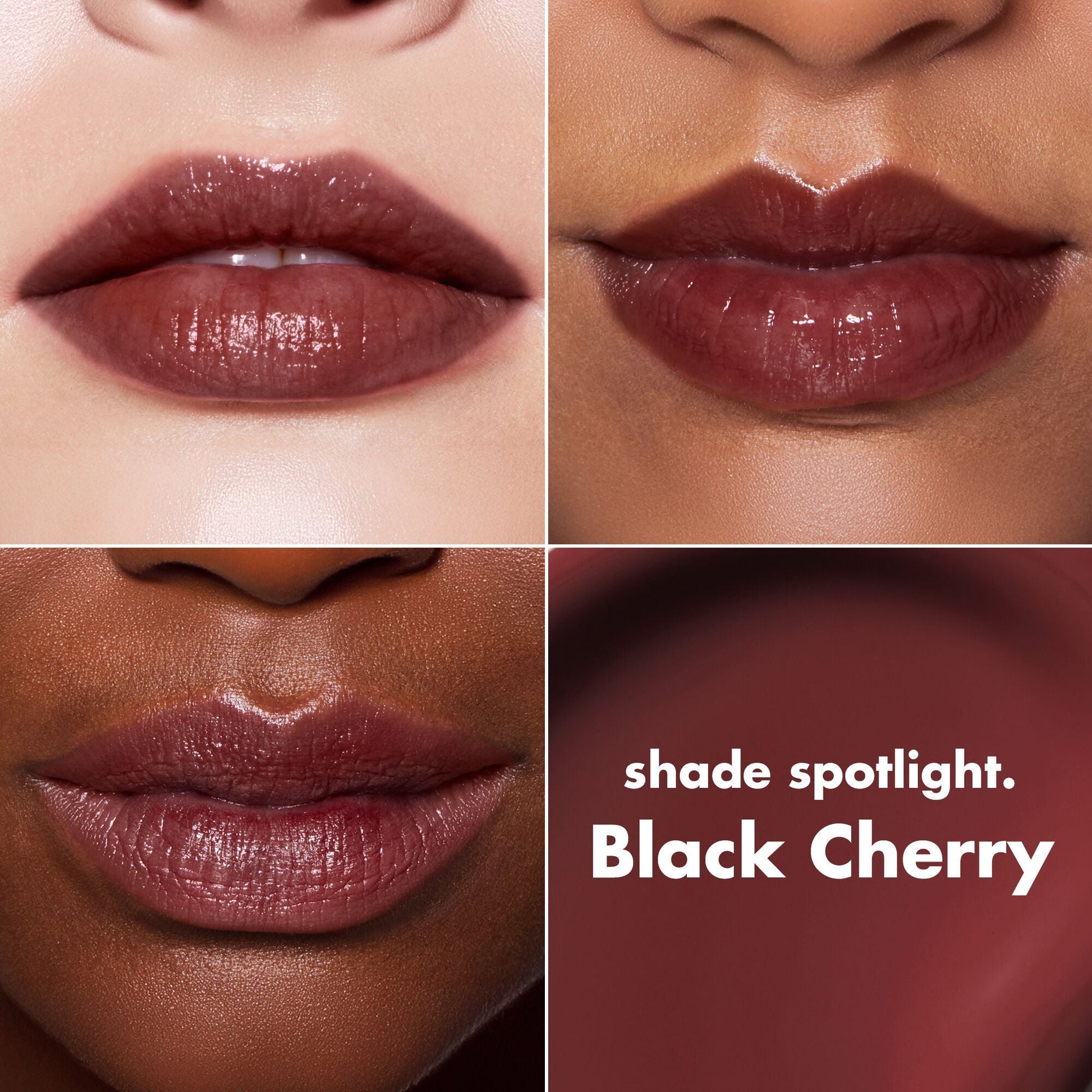 lip-lacquer-u9 0426_EDU_LipLaquer_ShadeChart_BlackCherry.jpg